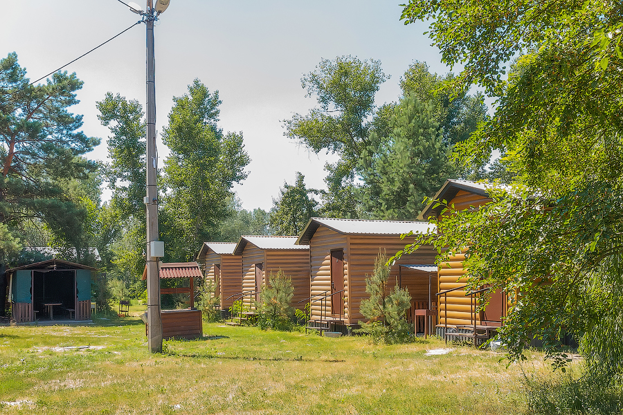 Берізка